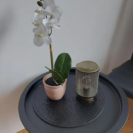 Guest house Goscinnie - Jagodowa *