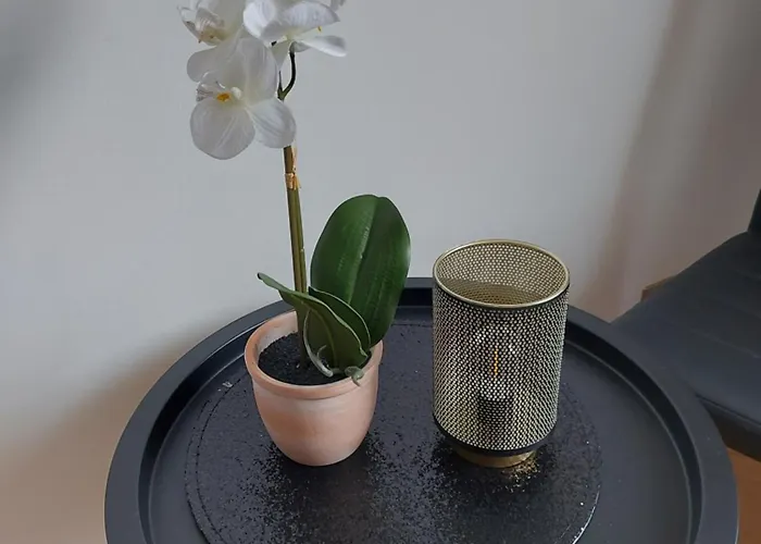 Гостевой дом Goscinnie - Jagodowa *